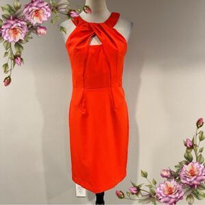 Sharagano Elegant blood Orange Sleeveless Dress business style size 4
